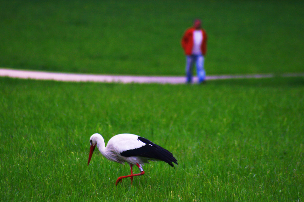 Begegnung im Rosensteinpark