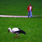 Begegnung im Rosensteinpark