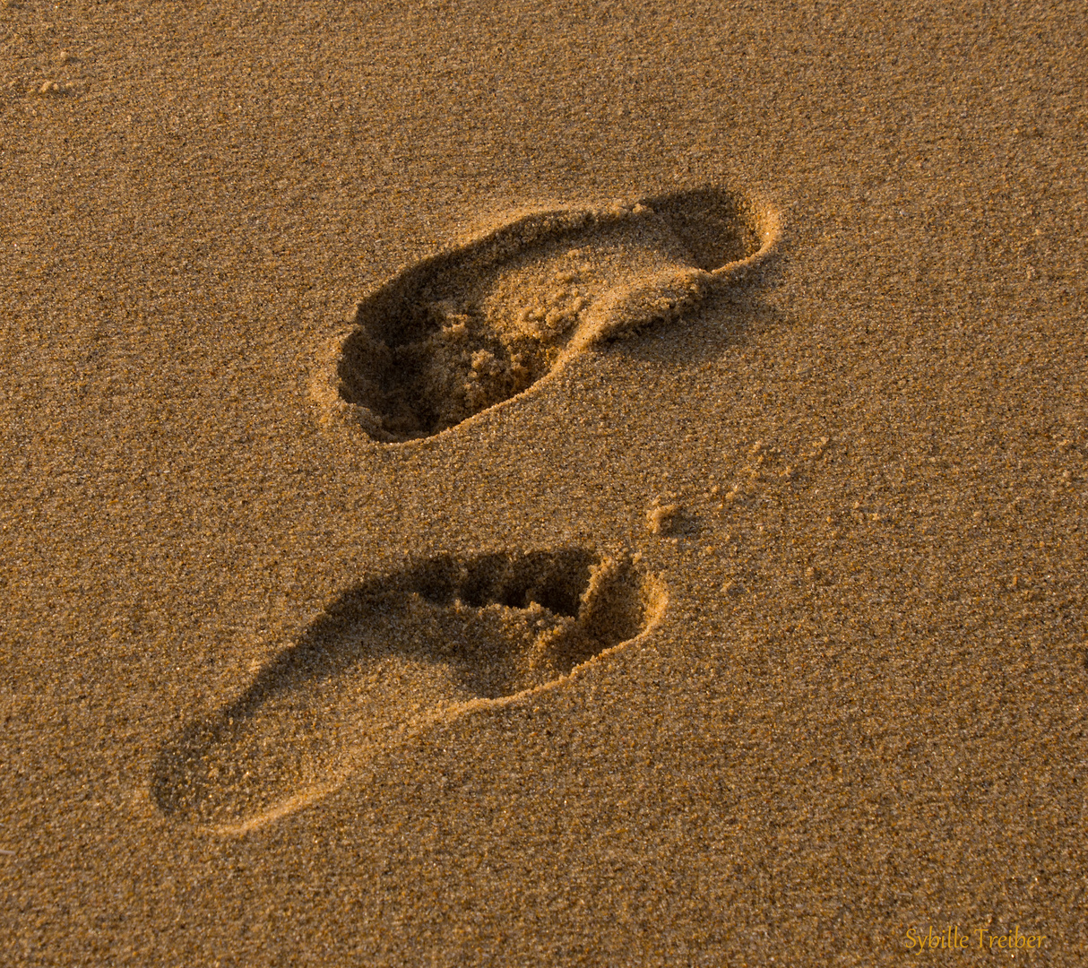 Begegnung im Sand