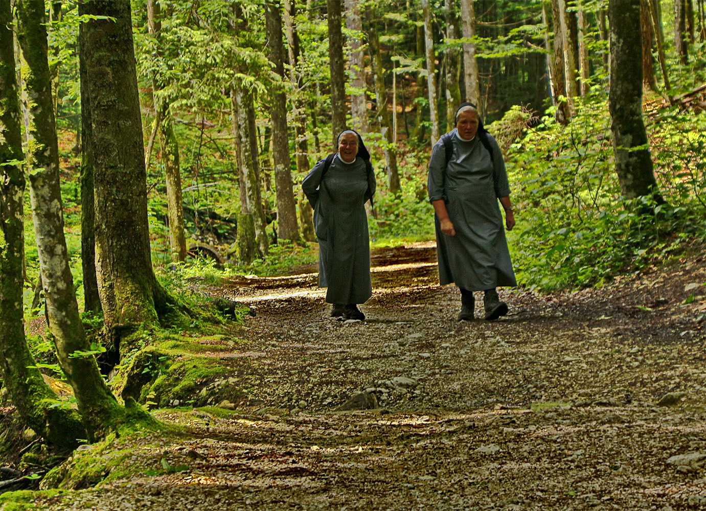 Begegnung im Schattenwald