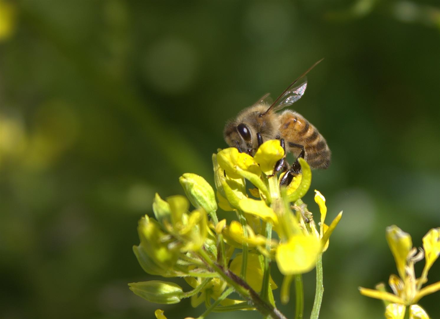 Begegnung im Sommer