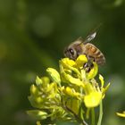 Begegnung im Sommer