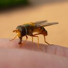 Begegnung im Stadthallen-Garten 2 | Kassel, Juni 2021