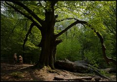 Begegnung im Urwald