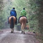 Begegnung im Wald