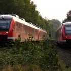 Begegnung im Wald bei Sereetz