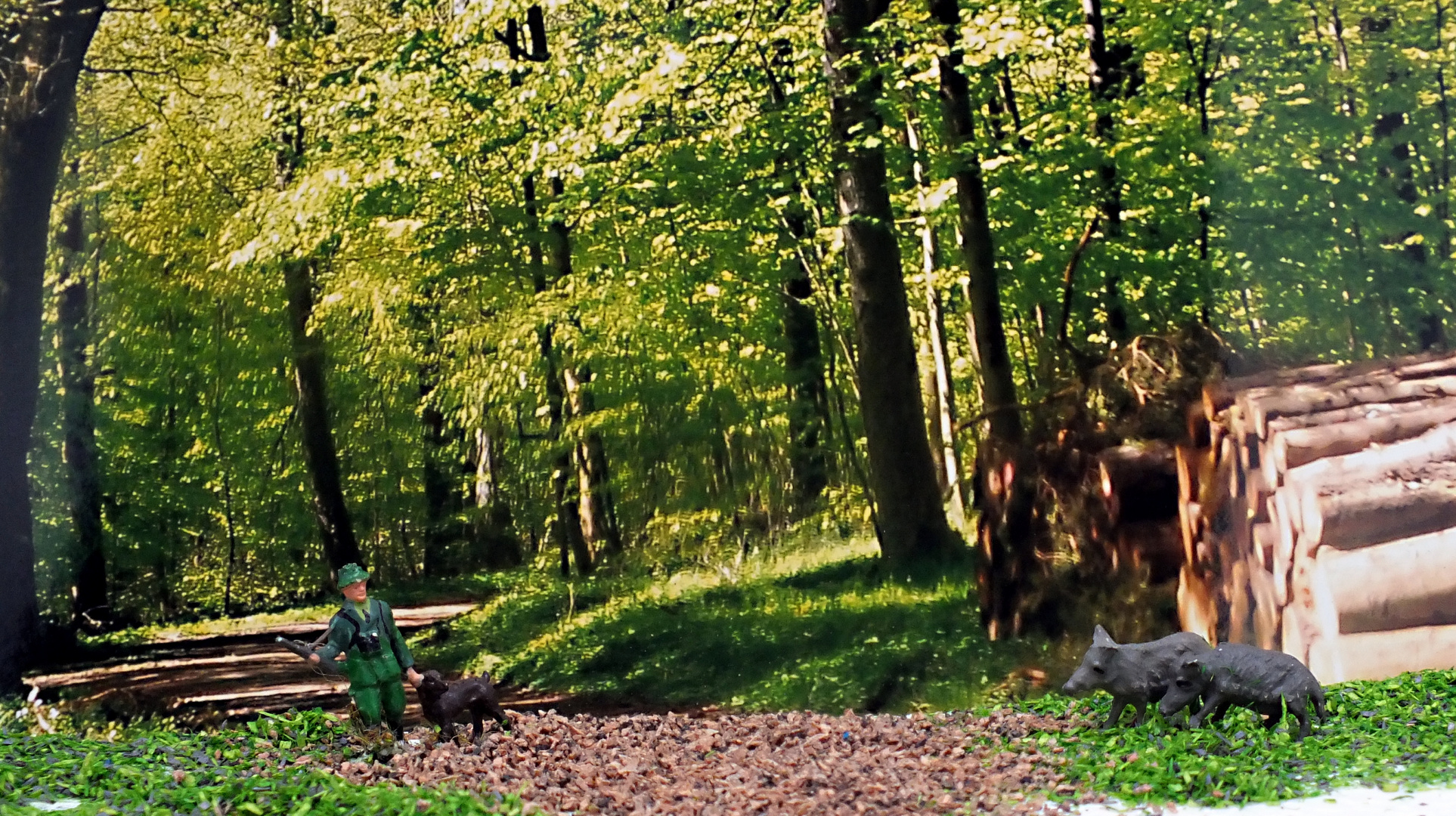 Begegnung im Wald