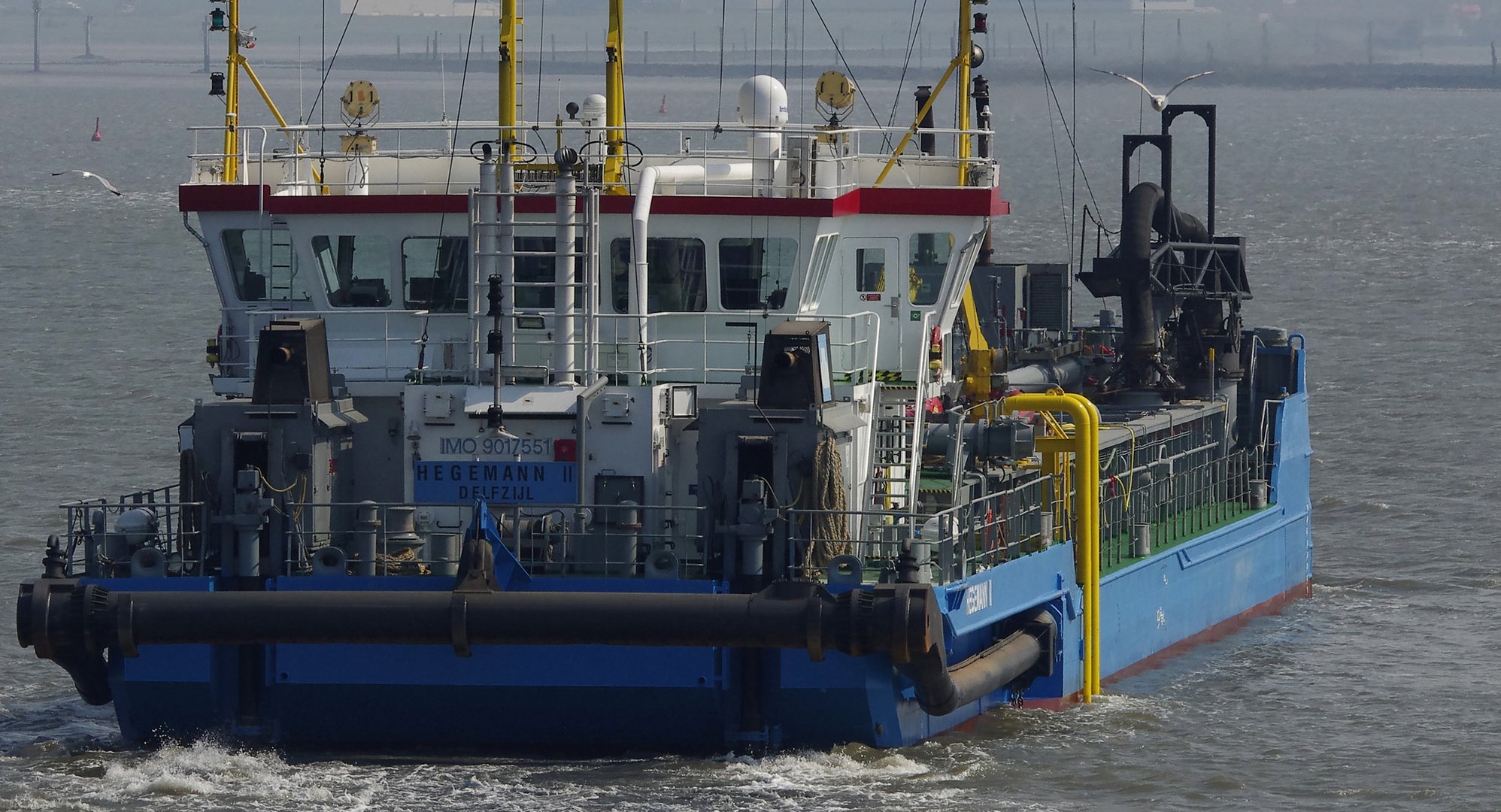 ... Begegnung im Wattenmeer