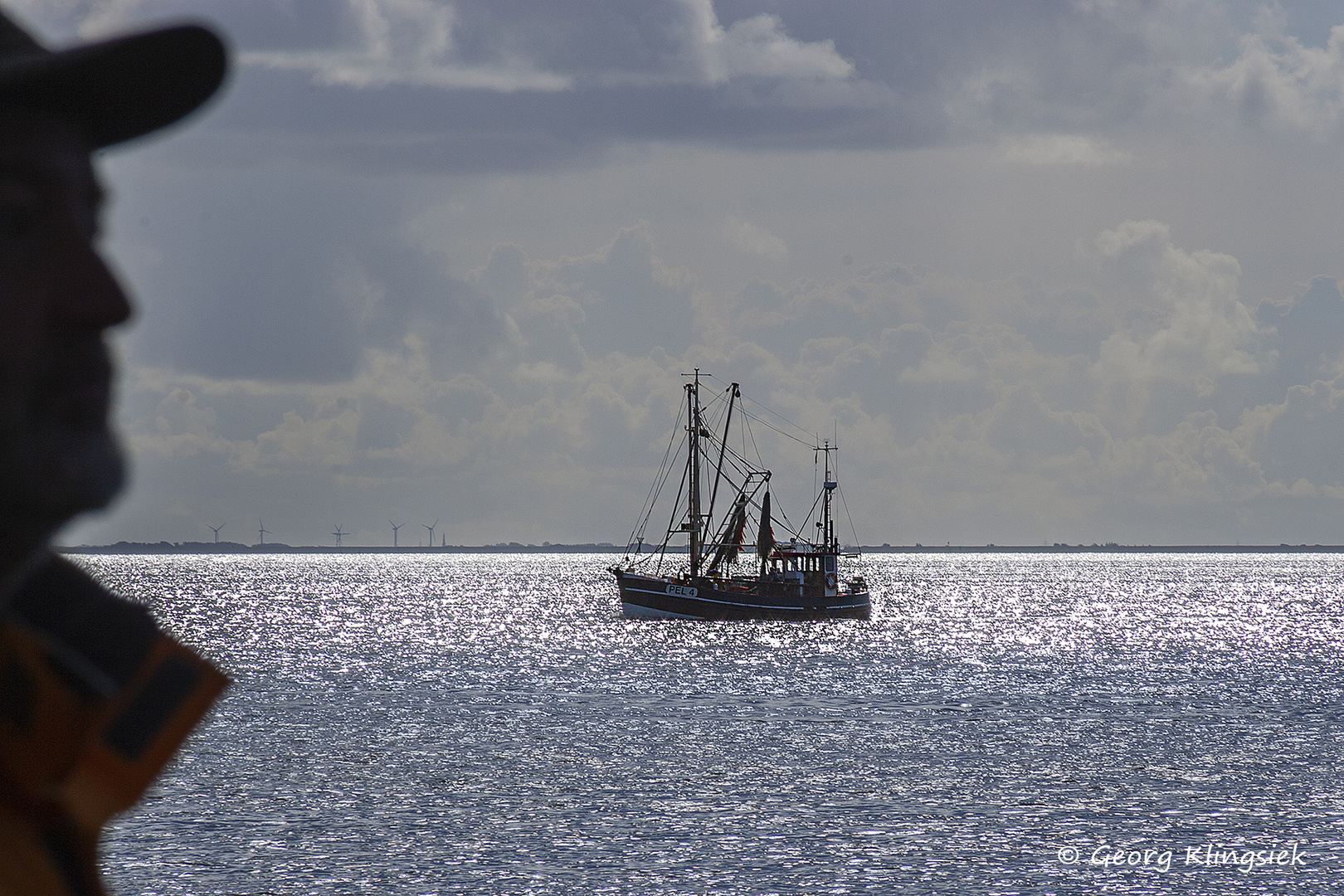 Begegnung im Wattenmeer