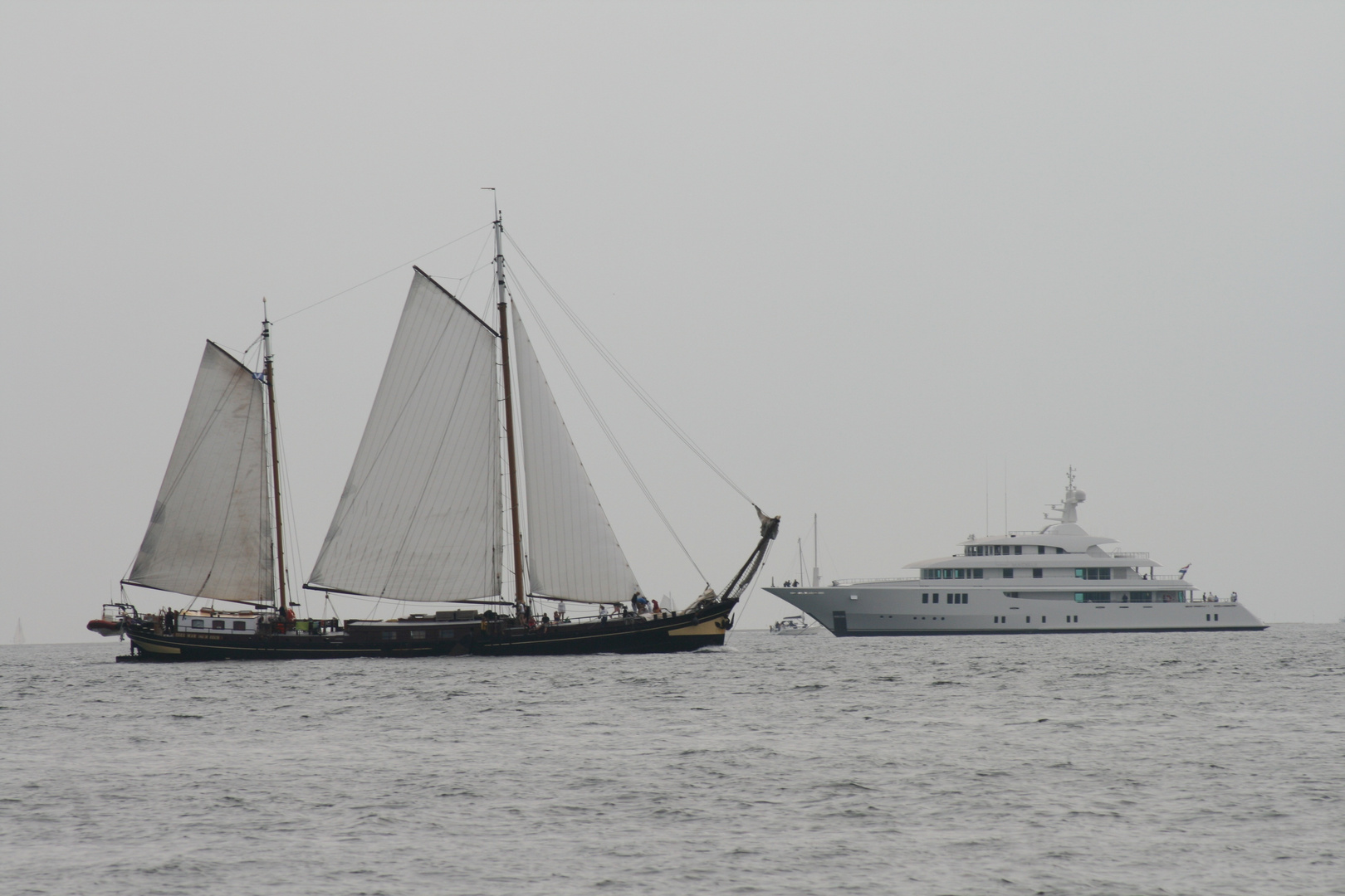 Begegnung im Wattenmeer