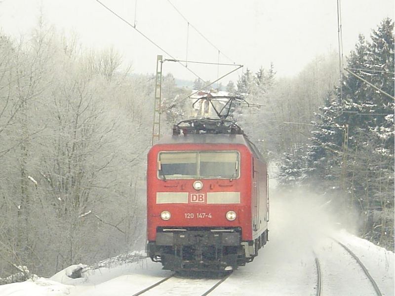 Begegnung im Winter