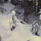 Begegnung im Winterwald