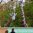 Begegnung im Zoo / 2D trifft 3D