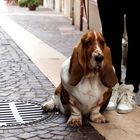 Begegnung in Bardolino am Gardasee