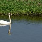 Begegnung in der Altmark 1