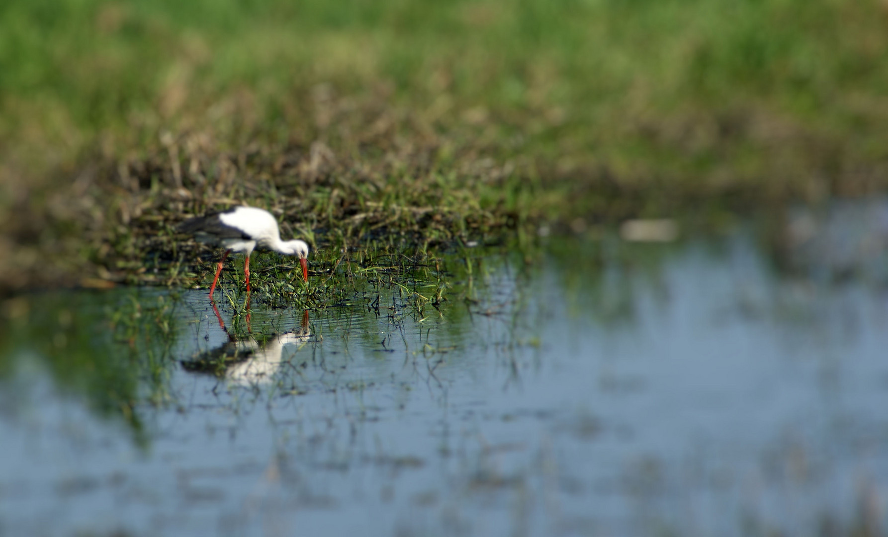 Begegnung in der Altmark 2