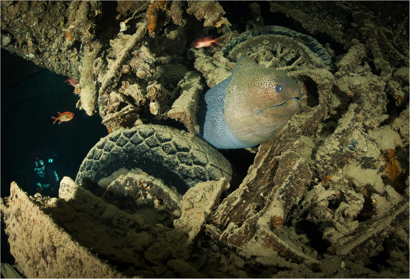 Begegnung in der Thistlegorm