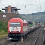 Begegnung ... in Einbeck-Salzderhelden