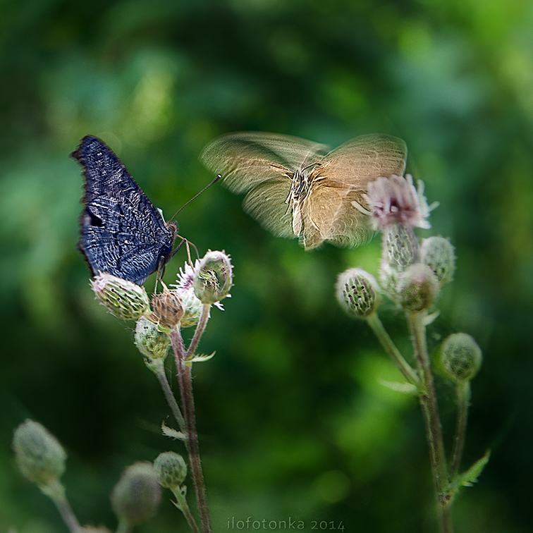 Begegnung in Farbe