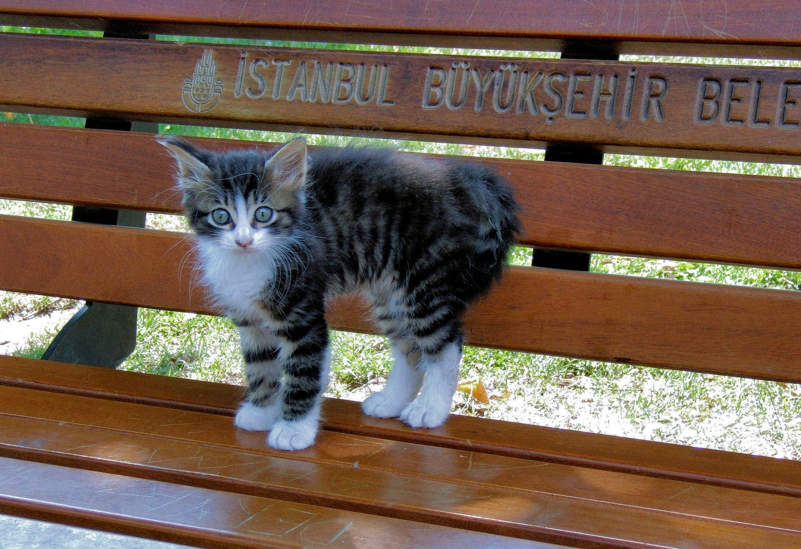 Begegnung in Istanbul