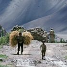 Begegnung in Leh, Ladakh