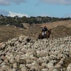 Begegnung in Patagonien...