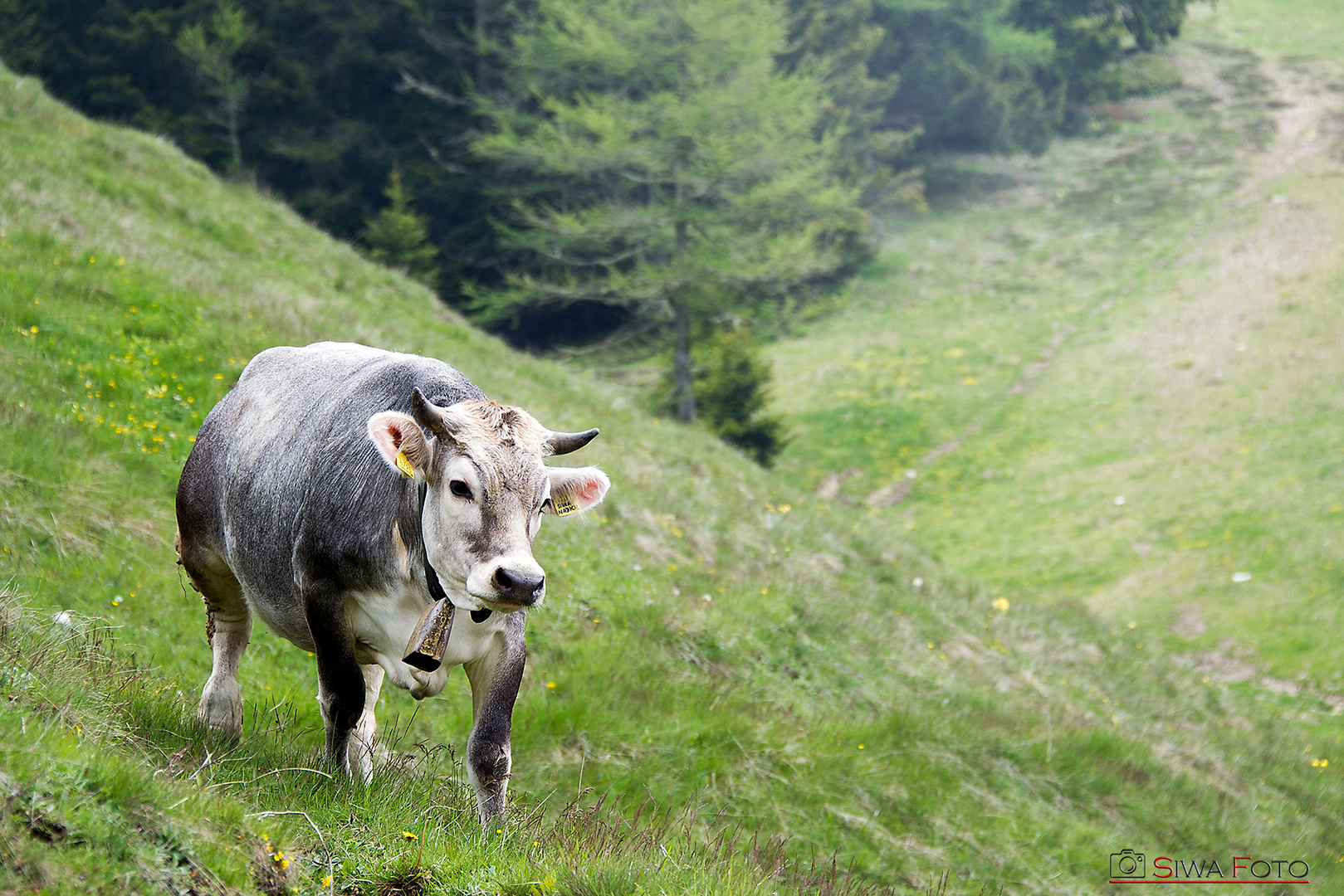 Begegnung m Vigiljoch