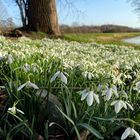 Begegnung mit dem Frühling 