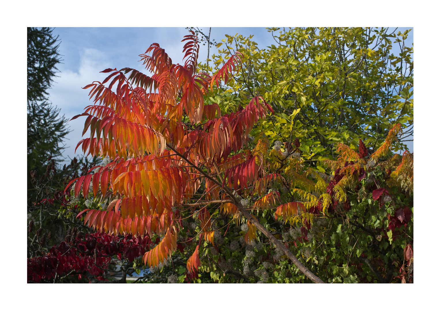 Begegnung mit dem Herbst