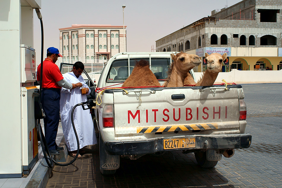 Begegnung mit dem „Kamel Mitsubishi“ an der Oman Tankstelle