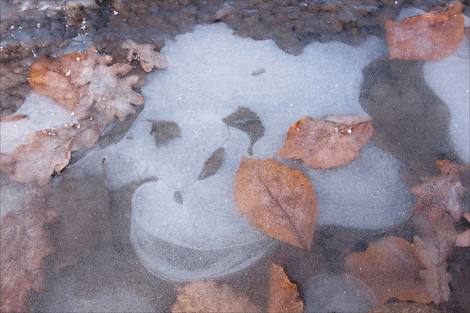 Begegnung mit einem "Wassergeist" im gefrorenem Eis
