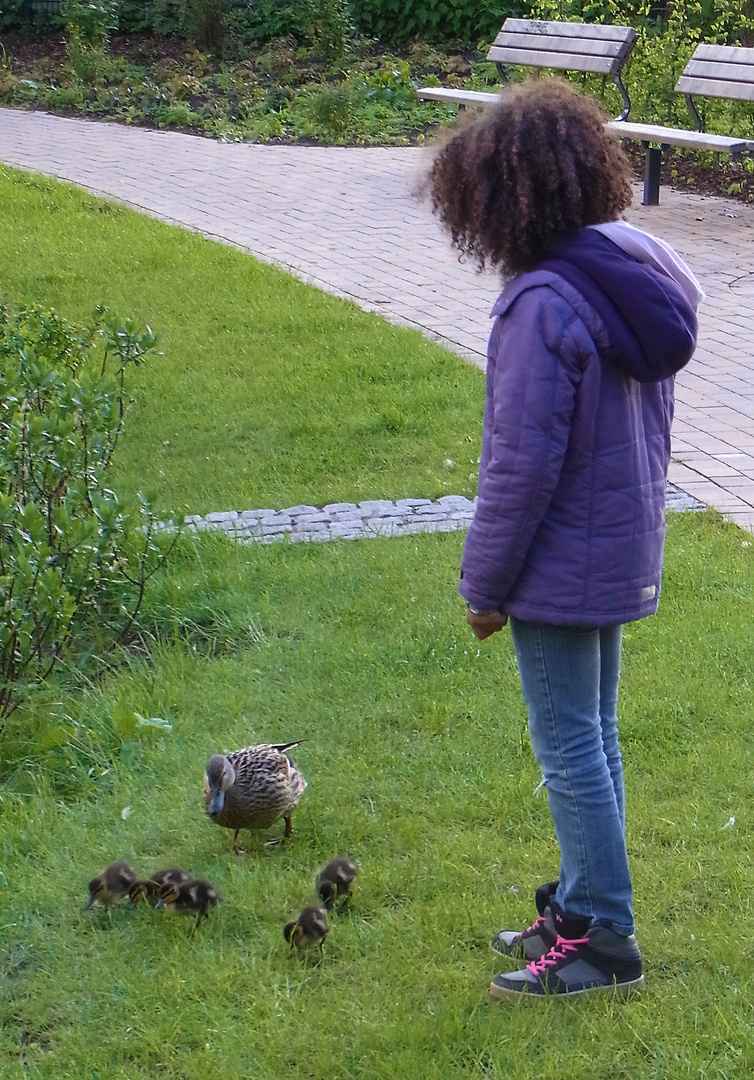 Begegnung mit einer Entenfamilie