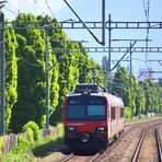 Begegnung mit einer Regionalbahn nach Brig...