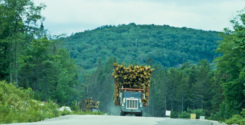 Begegnung mit Holztransportern