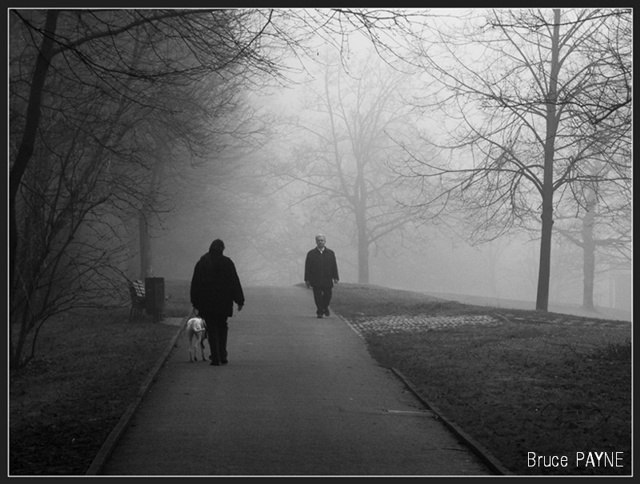 Begegnung mit Hund