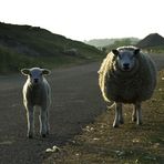 Begegnung ohne Worte - Teil 1