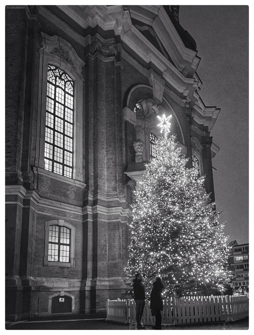 Begegnung unter dem Weihnachtsbaum