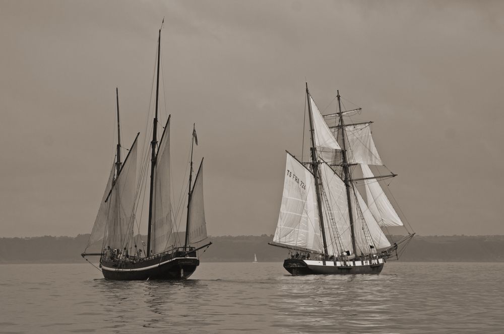 Begegnung unter Segeln