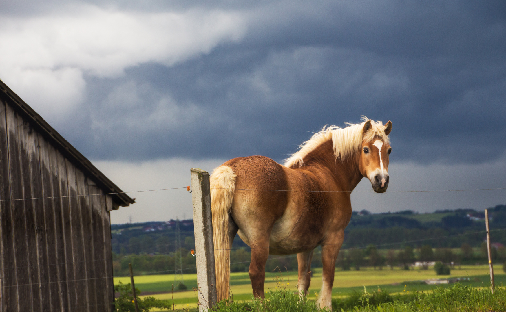 Begegnung vor dem Unwetter