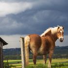 Begegnung vor dem Unwetter