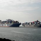 "...Begegnung..."CMA CGM Laperouse und Hanjin Korea