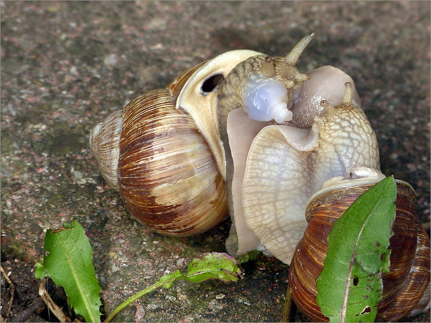 Begegnungen