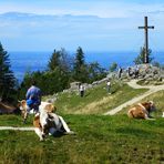 Begegnungen am Gipfelkreuz