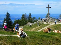 Begegnungen am Gipfelkreuz