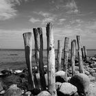 Begegnungen am Strand