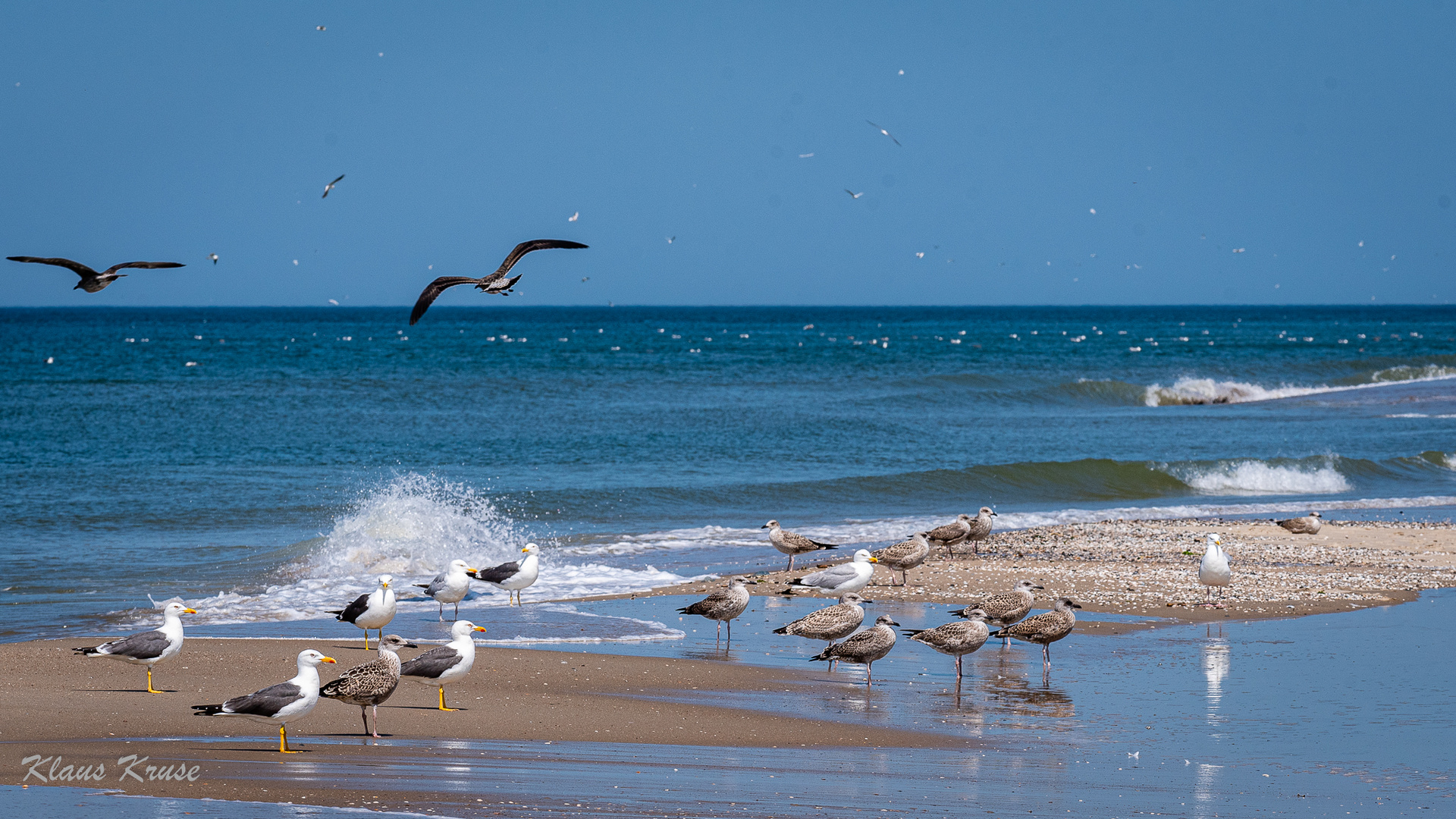 Begegnungen am Strand