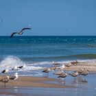 Begegnungen am Strand