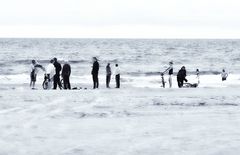 begegnungen am strand ...