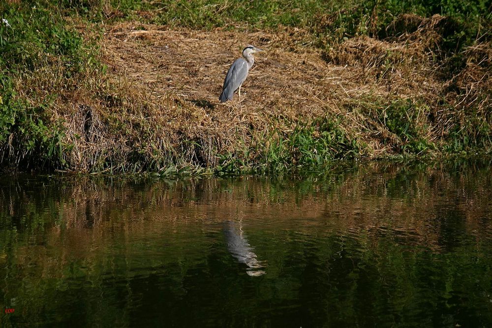 Begegnungen an der Saale ( 1 )