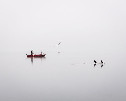 Begegnungen auf dem See